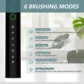 6 Modes Sonic Electric Toothbrushes for Adults